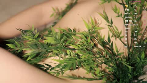 Toshi online show from 1, 12, 2025