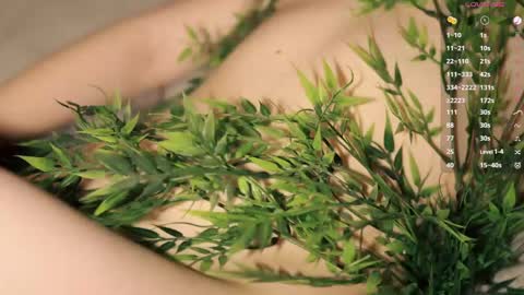 Toshi online show from 20, 4, 2026