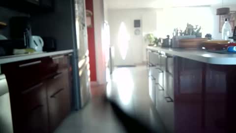 toutim6163 online show from 30, 9, 2025