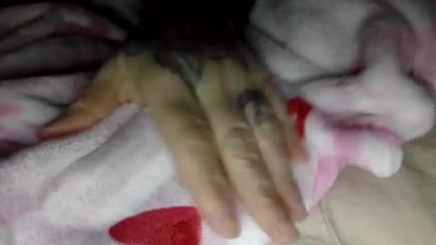 Snapshot of toxicanikki chatting on 8, 1, 2026 toxicanikki online show from 8, 1, 2026