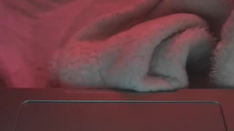 Snapshot of toxicanikki chatting on 23, 2, 2026 toxicanikki online show from 23, 2, 2026