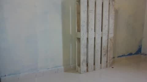 toyita707 online show from 23, 1, 2025