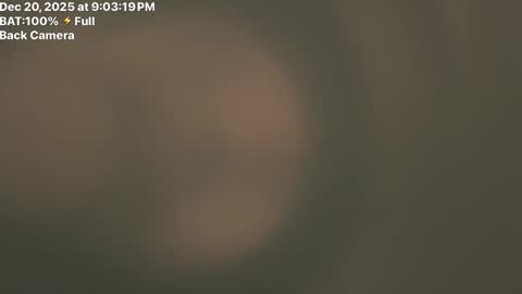 Fembttom online show from 21, 12, 2025