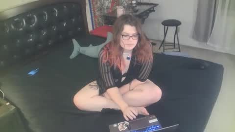 Snapshot of tranicpixiedreamgrl chatting on 25, 11, 2025 tranicpixiedreamgrl online show from 25, 11, 2025
