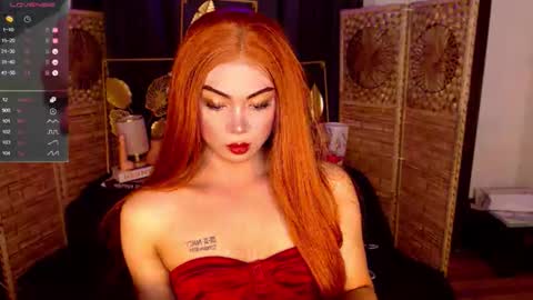 transsitips online show from 5, 5, 2026