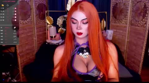 transsitips online show from 11, 5, 2026