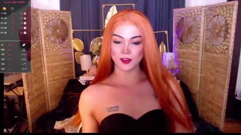 transsitips online show from 21, 5, 2026