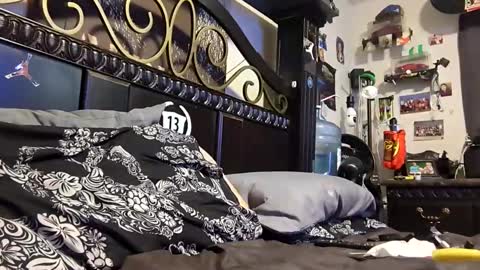 traxxas971600 online show from 13, 4, 2026