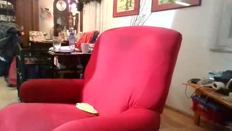 trebgeis1 online show from 6, 1, 2026