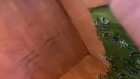 trebz_01 online show from 17, 11, 2025