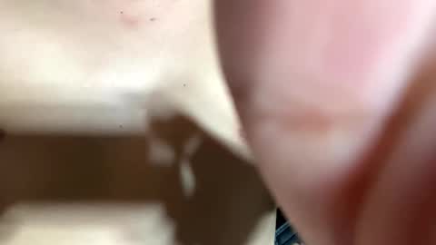 trebz_01 online show from 14, 4, 2026