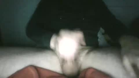 Snapshot of trekkertje666 chatting on 25, 1, 2025 trekkertje666 online show from 25, 1, 2025