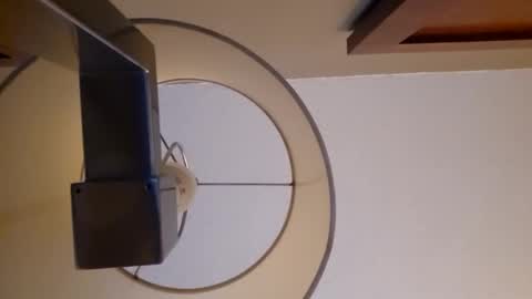 trex23rd online show from 28, 3, 2026