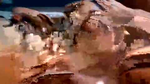 trigood online show from 13, 2, 2025