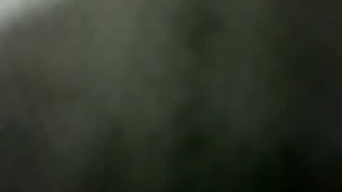 tripit1 online show from 21, 12, 2025