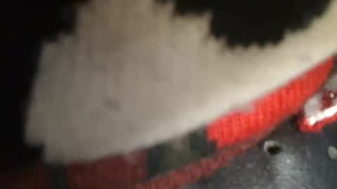 trobelle online show from 26, 12, 2024