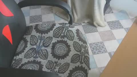 trololle3 online show from 7, 3, 2025