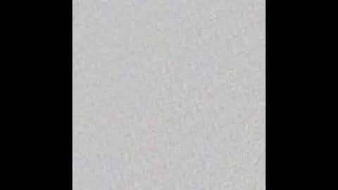 Snapshot of tropicalmadness chatting on 19, 2, 2025 Archie Torres online show from 19, 2, 2025