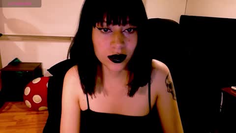 Cait online show from 4, 11, 2025