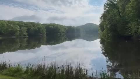 Snapshot of trystoph chatting on 21, 2, 2026 Treistoph online show from 21, 2, 2026