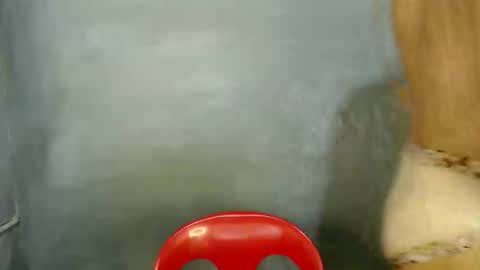 Paulyn online show from 7, 1, 2026