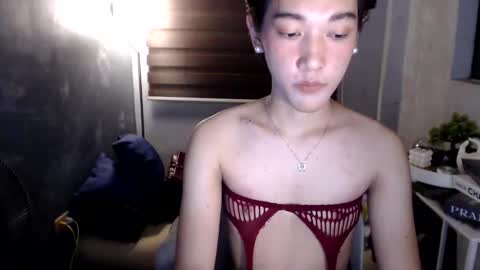 twighlightpauline online show from 20, 3, 2026