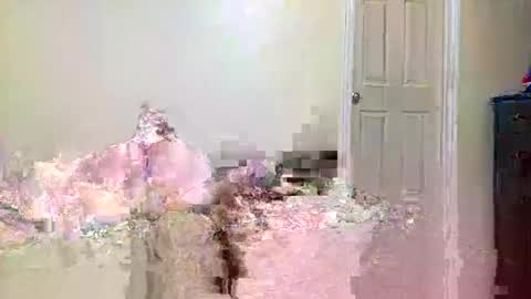 Snapshot of twinflamecaps chatting on 9, 4, 2026 twinflamecaps online show from 9, 4, 2026