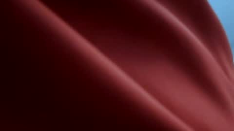Tyler online show from 12, 6, 2026