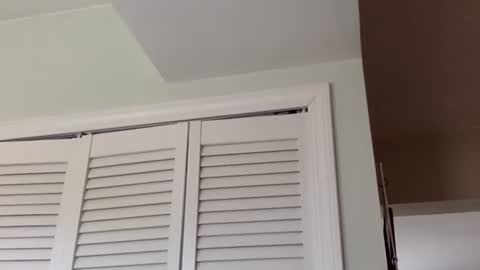 Tyler Durden online show from 1, 3, 2025