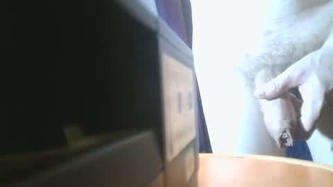 Snapshot of u02g2 chatting on 21, 12, 2024 u02g2 online show from 21, 12, 2024