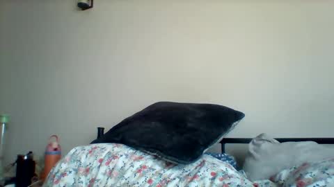 uncircumcise30 online show from 19, 3, 2026