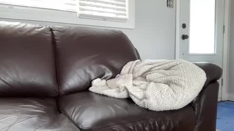 Snapshot of ungerisland chatting on 9, 3, 2025 ungerisland online show from 9, 3, 2025