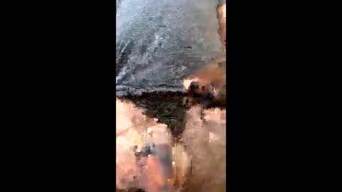 Uramajesty online show from 19, 3, 2026