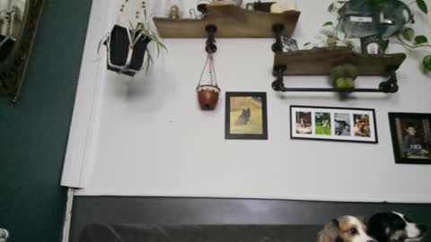 Snapshot of urdreamswonder chatting on 8, 2, 2026 MYMY online show from 8, 2, 2026