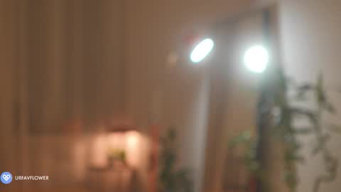 Aleksandra online show from 9, 11, 2025