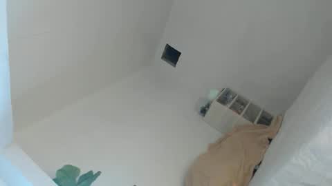 KIM online show from 19, 4, 2026