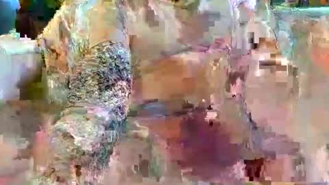 urukai79 online show from 17, 2, 2026