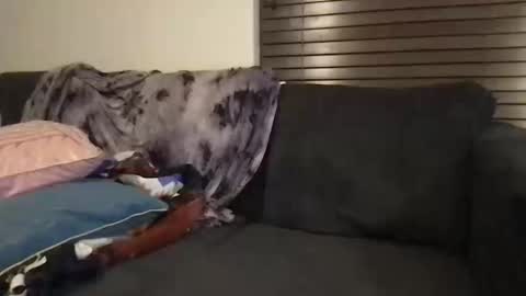 Snapshot of urwivesaffair chatting on 12, 10, 2025 Urwivesaffair online show from 12, 10, 2025