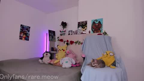    online show from 26, 11, 2025