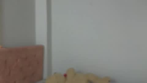 Snapshot of valery_lovex_ chatting on 10, 10, 2025 valery_lovex_ online show from 10, 10, 2025