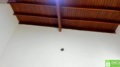 valtira nova online show from 23, 3, 2026