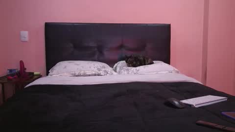 Vamp Noah and Dan online show from 11, 2, 2026