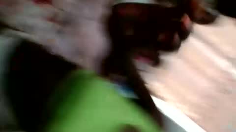 faisar online show from 19, 12, 2025