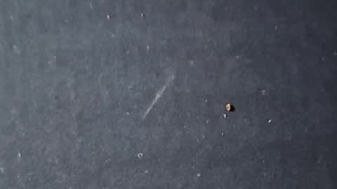 Snapshot of velvetsolez chatting on 22, 3, 2026 velvetsolez online show from 22, 3, 2026