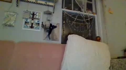 Snapshot of venuskisth chatting on 9, 1, 2025 venuskisth online show from 9, 1, 2025