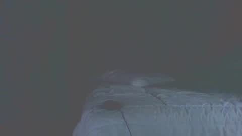 vergagolosa22 online show from 20, 11, 2025