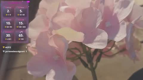 Snapshot of vickyvalencia2 chatting on 9, 7, 2026 vickyvalencia2 online show from 9, 7, 2026
