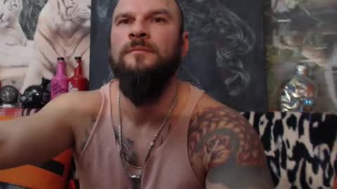 viking online show from 12, 12, 2024