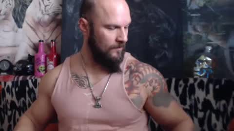 viking online show from 15, 12, 2024