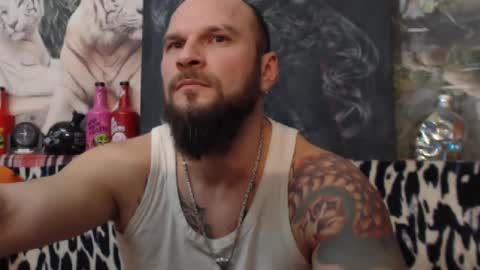 viking online show from 24, 12, 2024